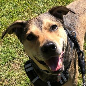 Meet your Posher, Aaron